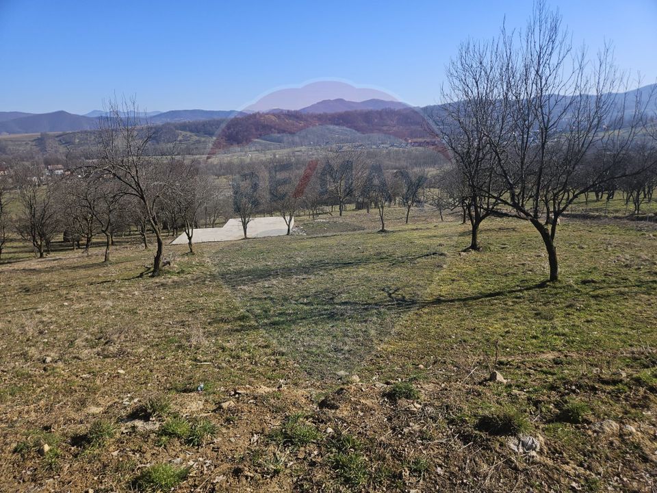 Land 4,627sqm Giulesti / Strada PRINCIPALA