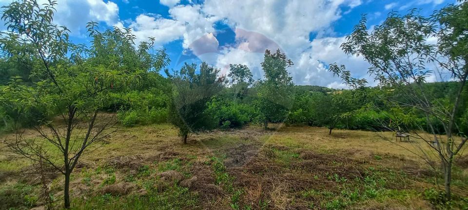 Teren Intravilan de vanzare 3551mp Poiana Copaceni Com Gura Vitioarei