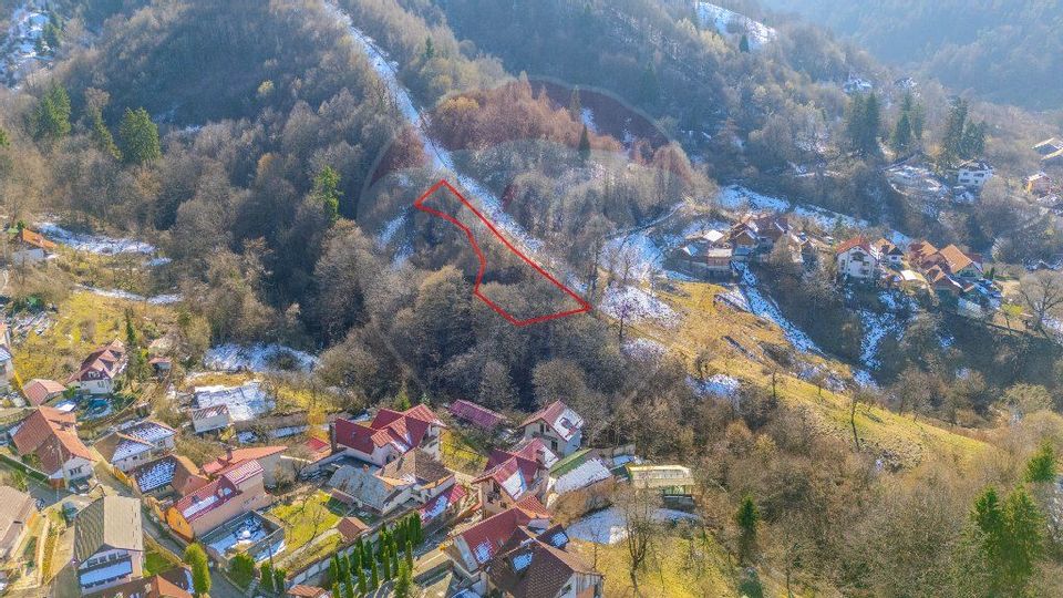 Teren 1,577mp Brasov / Strada Valea Tei