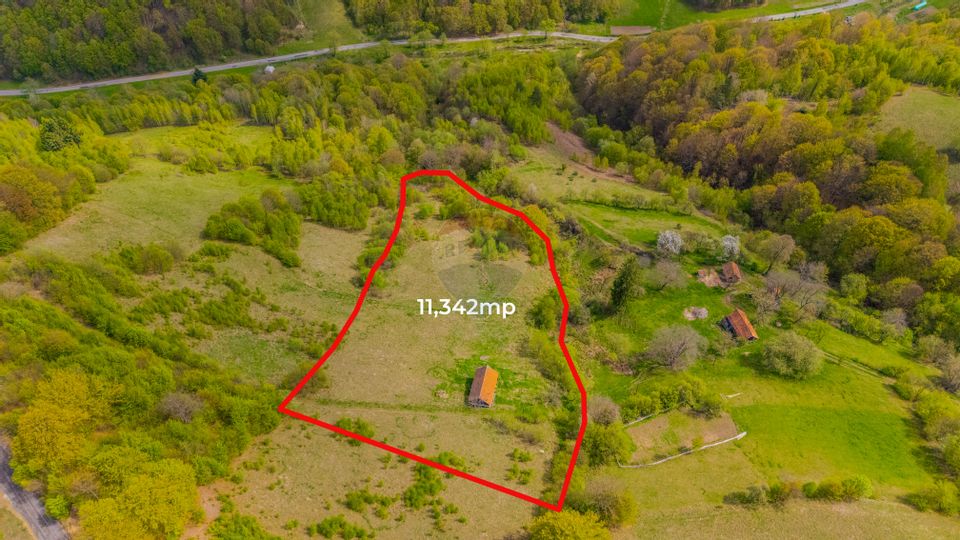 Teren 11,342 mp Poiana Marului /Extravilan/Oportunitate investiție