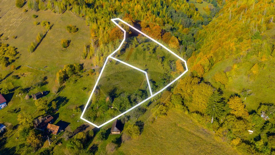 COMISION 0% Teren 11,381 mp Moieciu de Jos / Oportunitate unică