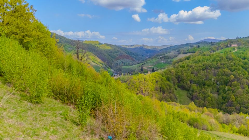 Teren 11,342 mp Poiana Marului /Extravilan/Oportunitate investiție