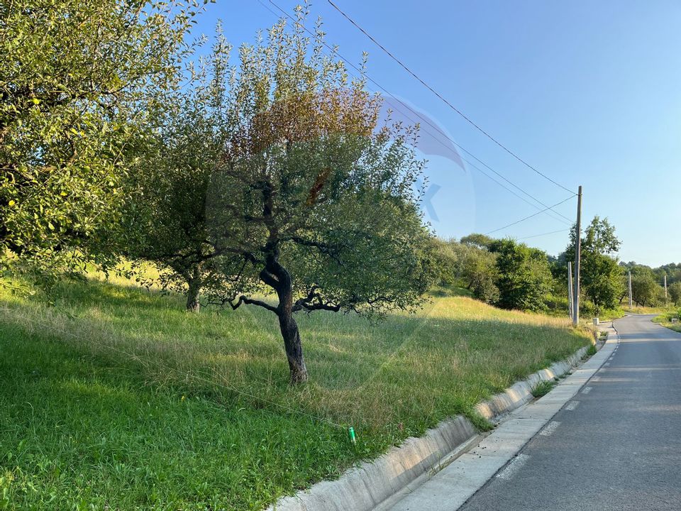 Teren intravilan de vanzare in Groși