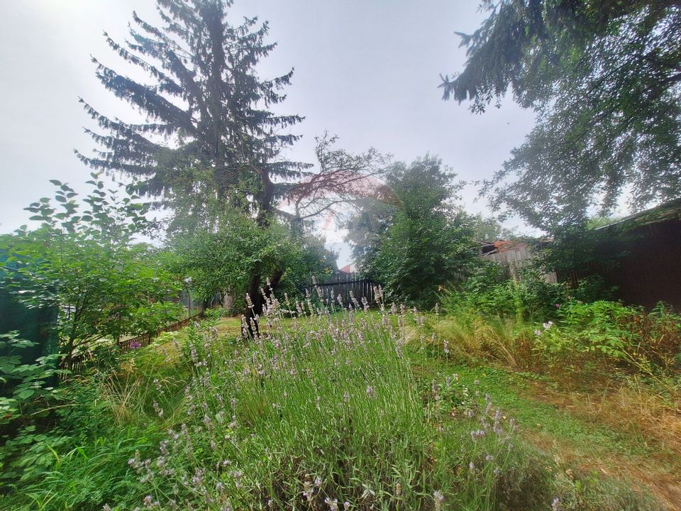 Casă cu grădină superbă – o oază verde în Sibiu