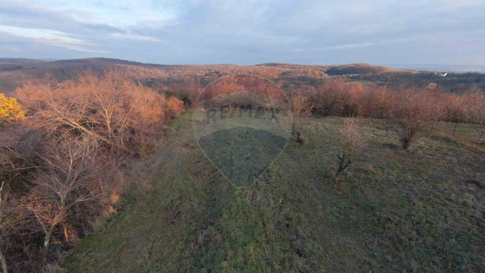 Teren intravilan de vânzare 915 mp – Săldăbagiu de Munte