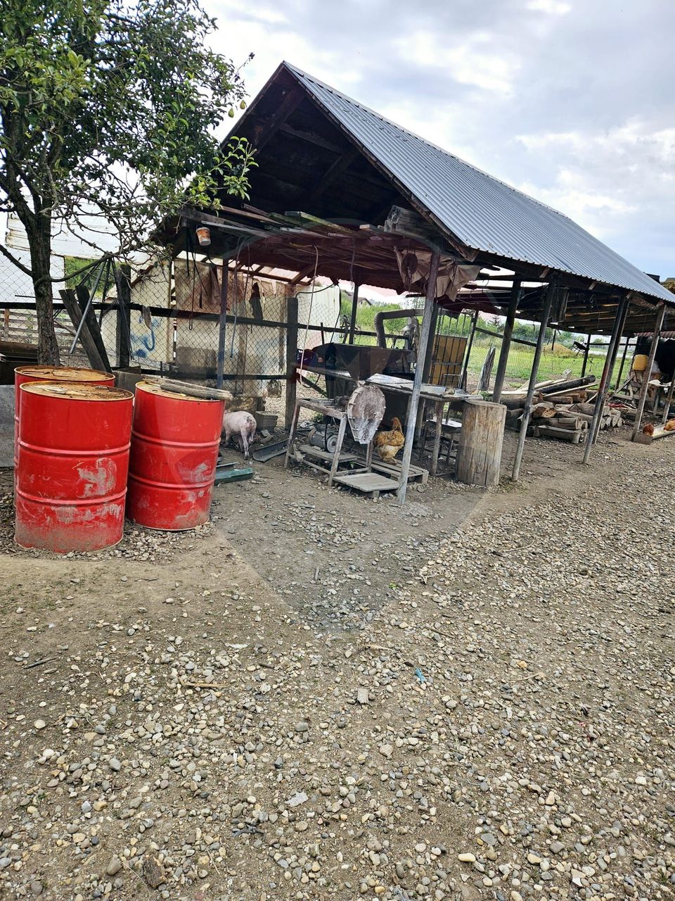 5 room House / Villa for sale