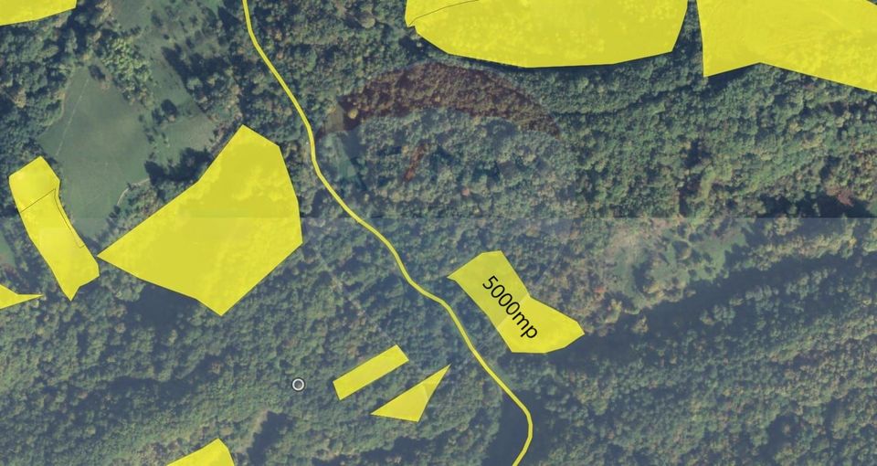 Poiană pentru cabana de vanzare intravilan Coas