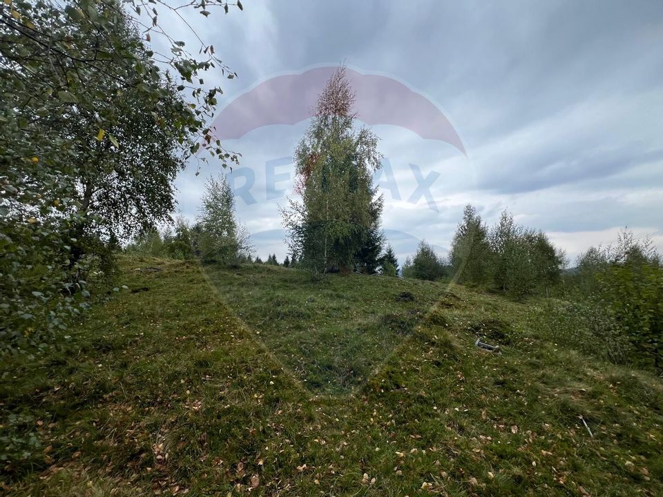 Teren extravilan parcelabil Călățele Pădure, zona Dealu Negru