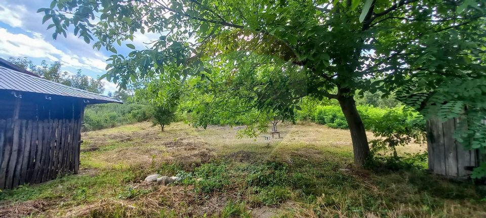 Teren Intravilan de vanzare 3551mp Poiana Copaceni Com Gura Vitioarei