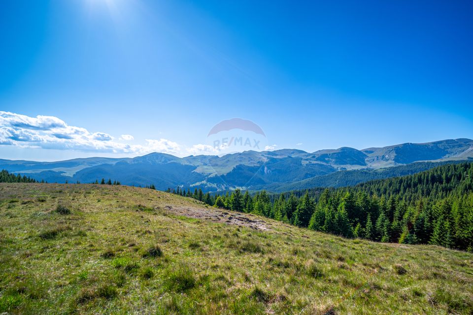 Teren intravilan Transbucegi / Oportunitate de dezvoltare Transbucegi