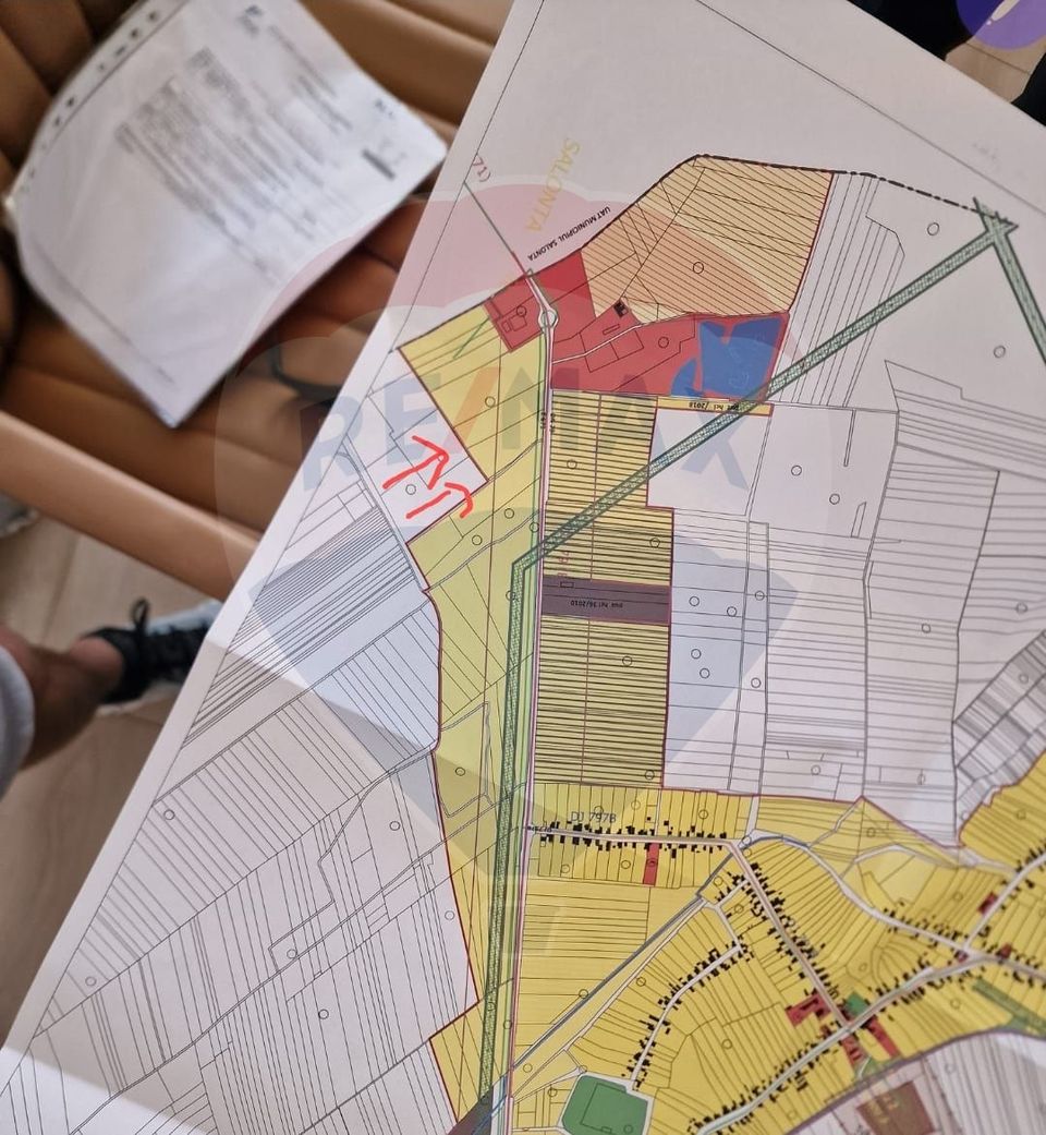 Teren in parcul industrial Madaras la intrare in oras Salonta .