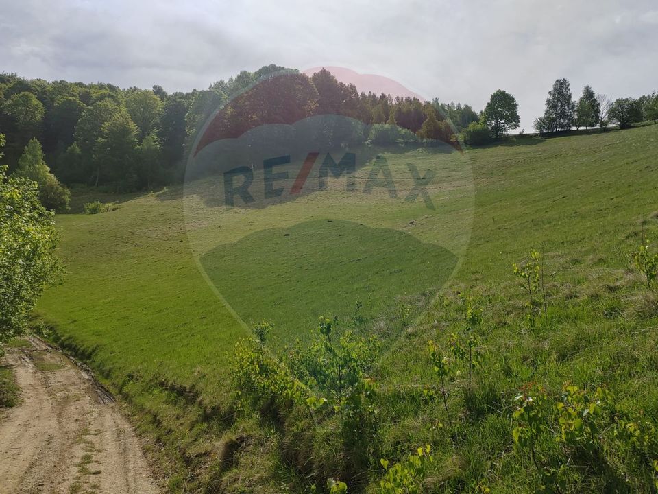 Land 20,131sqm Poiana Marului / Strada Fara nume