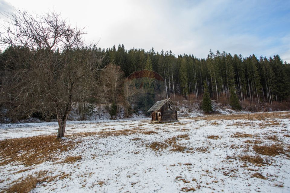 Land 49,000sqm Borca / Strada Vitoria lipan