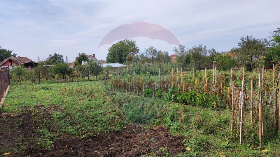 Casă de vanzare in Tarian, la 14 km de Oradea