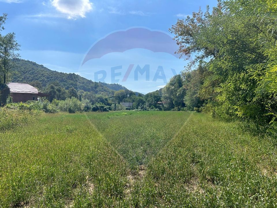 Land 3,021sqm Copalnic-Manastur / Strada TARGU LAPUS