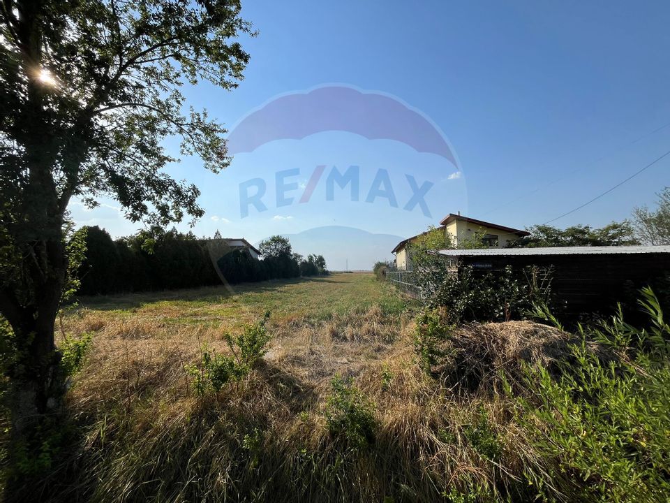 Construction land, 2500 sqm, Com Plataresti, Calarasi County