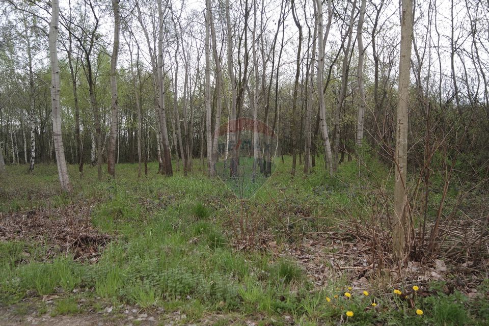 Land 1,900sqm Baia Mare / Strada 124