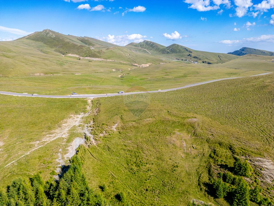 Teren intravilan Transbucegi / Oportunitate de dezvoltare Transbucegi