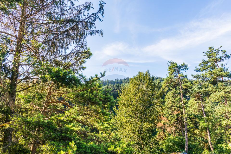 Land 10,000sqm Sacele / Soseaua Valea Doftanei