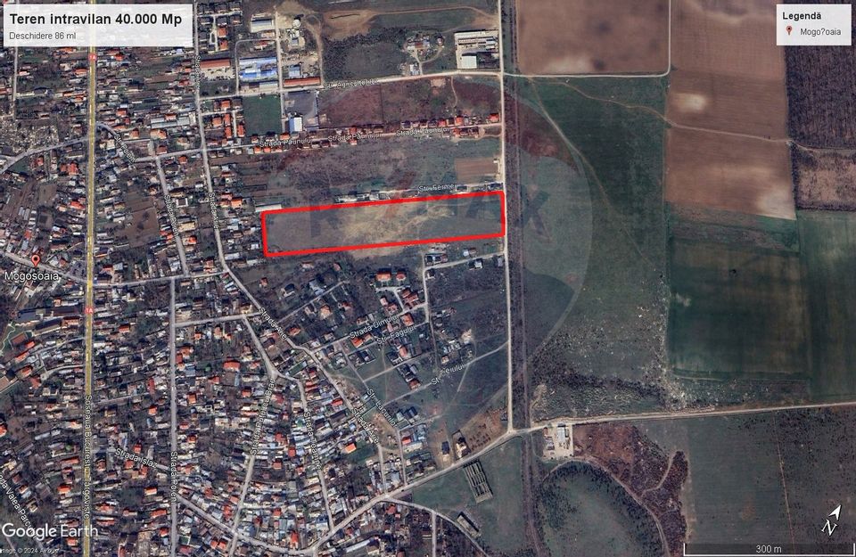 Land 40,000sqm Mogosoaia / Strada Teiului