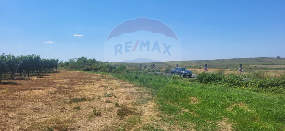 Land 70,000sqm Maderat / Strada principala