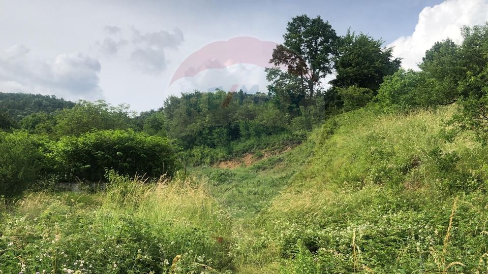 Teren 2,868mp /case/ duplexuri /Baia Mare / Strada Sanatatii Panoramic
