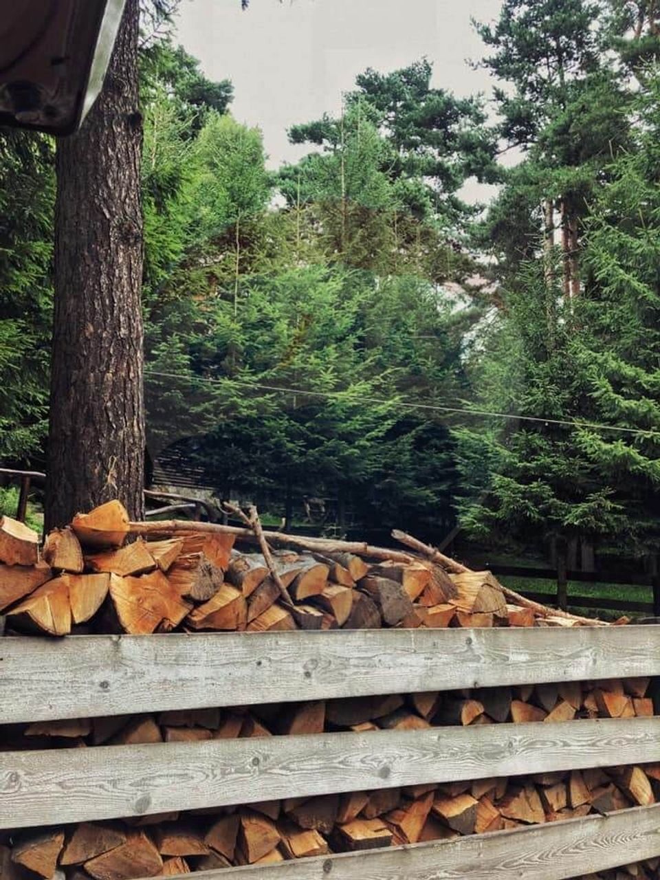 Guesthouse for sale | 12 rooms | Bisoca / Buzau