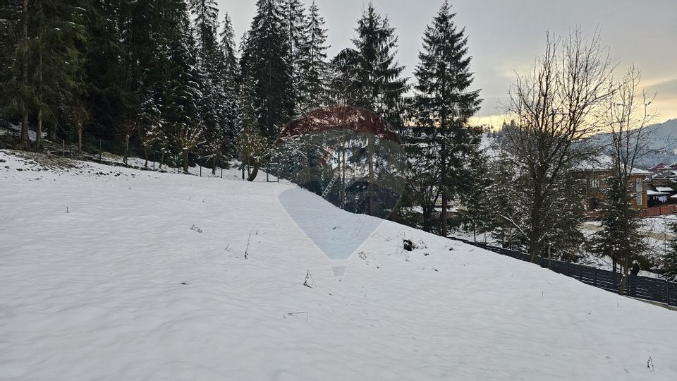 Teren in Bucovina, intravilan 3824 mp Deia-Frumosu, Suceava