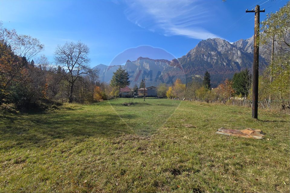 Teren intravilan cu vedere spectaculoasă spre Crucea Caraiman