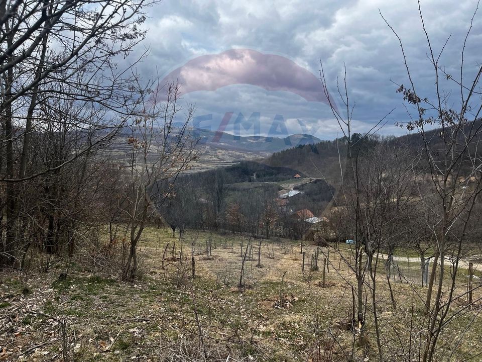 Land 12,458sqm Valeni (Metes) / Strada Principala