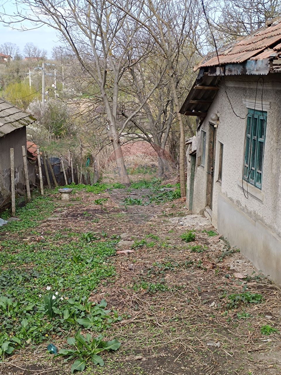 Teren  intravilan 867mp Moara Vlasiei / Soseaua Eroilor