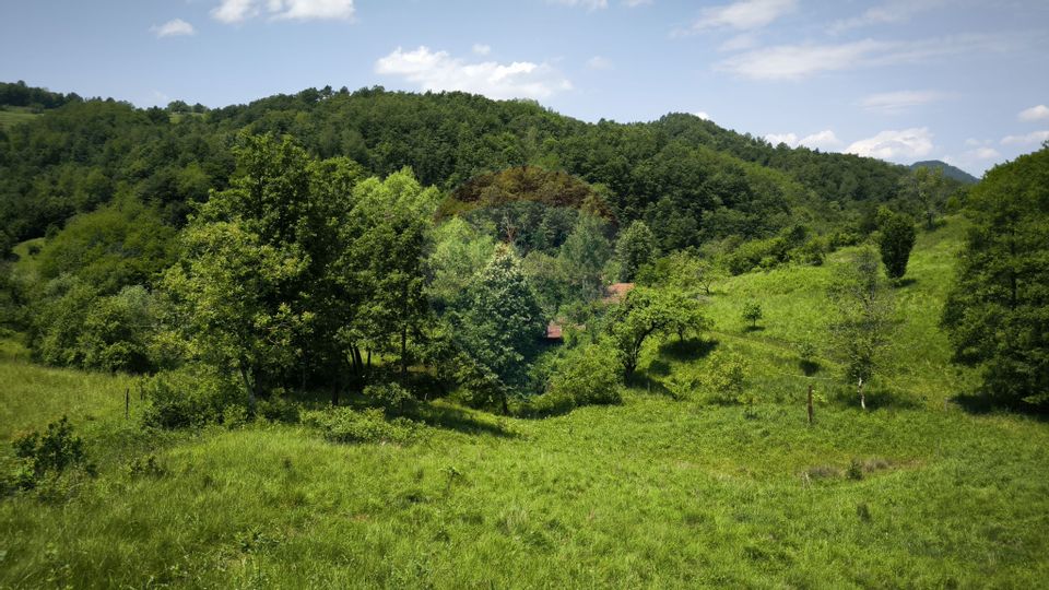 Teren intravilan de vis în Munții Apuseni, curent + izvor – 13.811 mp