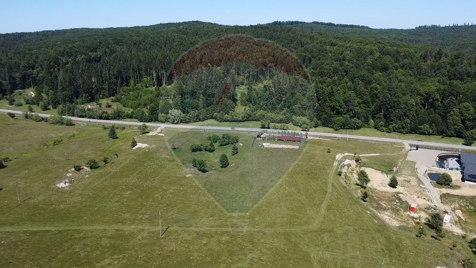 Land 5,561sqm Paltinoasa / Strada principala