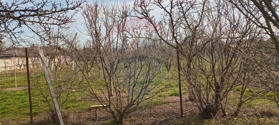 Land 2,954sqm Vladimirescu / Strada Stefan cel Mare
