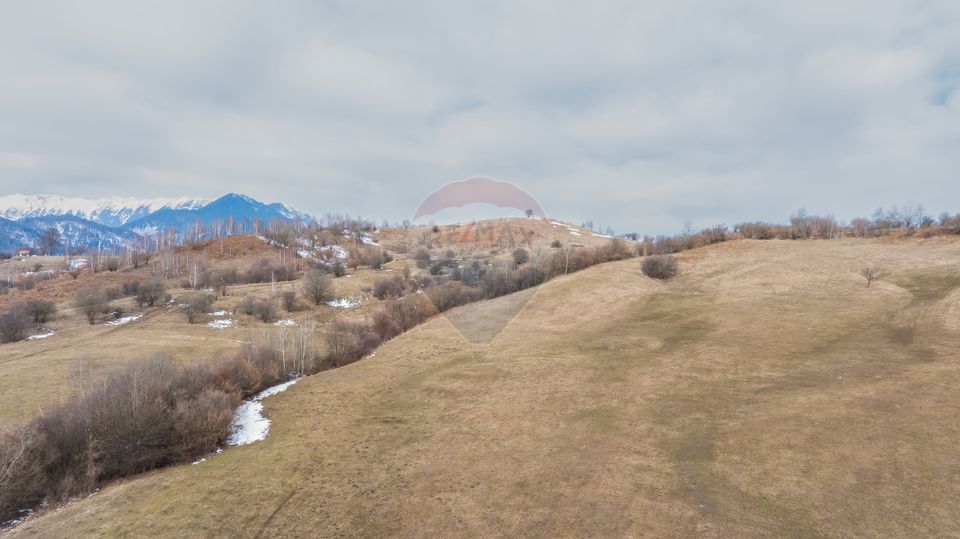 Land 5,602sqm Tohanu Nou / Strada Pe tarina