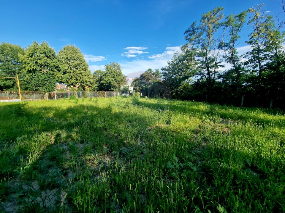 Teren 1,749mp Piatra-Neamt / Strada Zambilelor