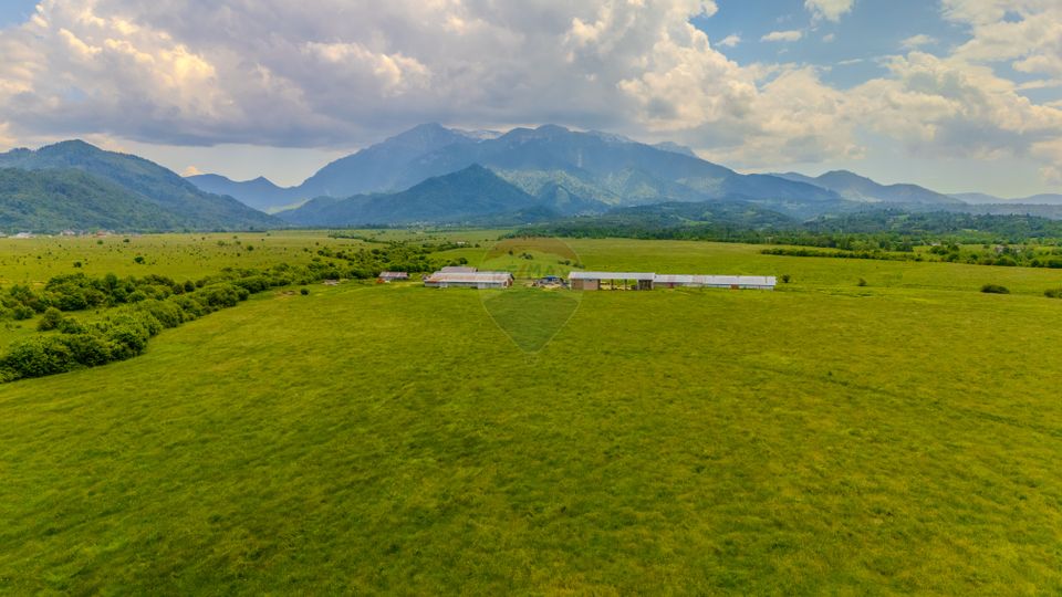 Teren 10,800mp Rasnov / Drumul DN73