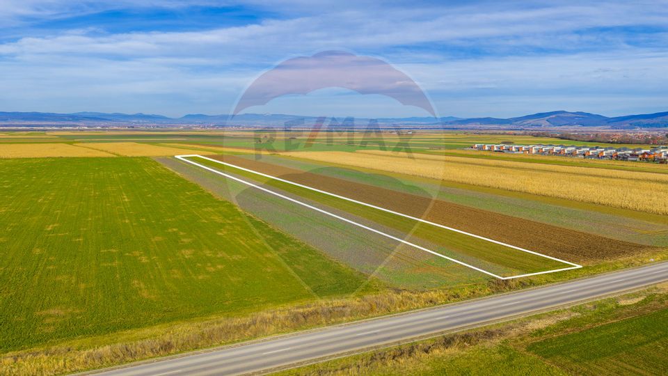 Teren 10,000mp Tarlungeni