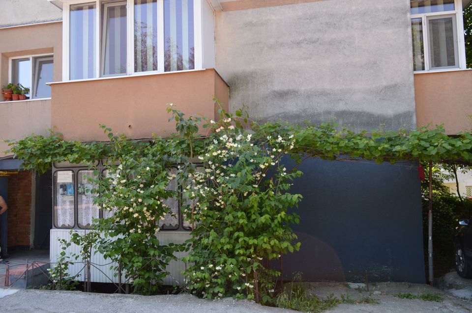 Apartament cu 3 camere de vânzare în zona Burdujeni