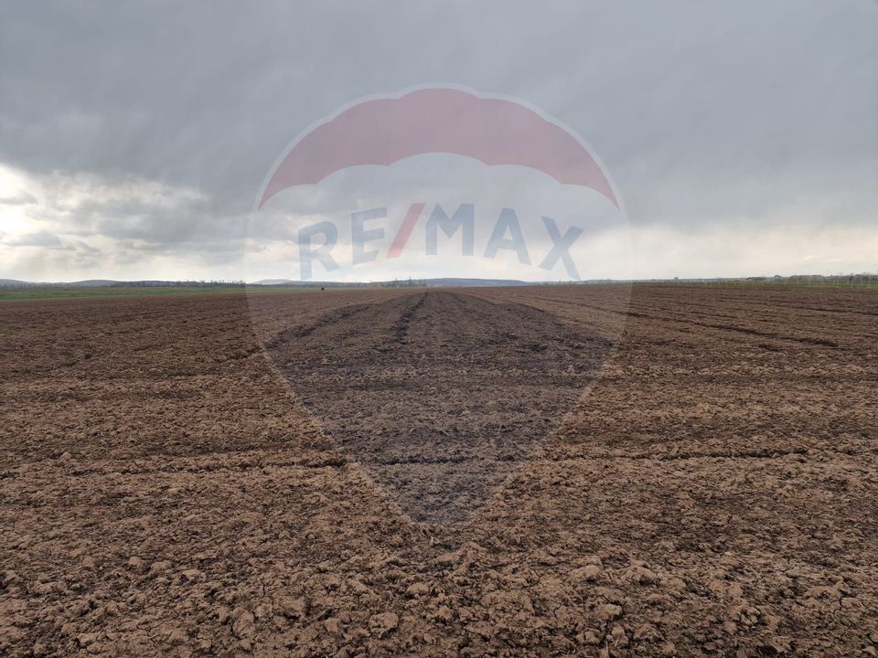 Teren 10,000mp Bacau / Strada Alexandru Safran
