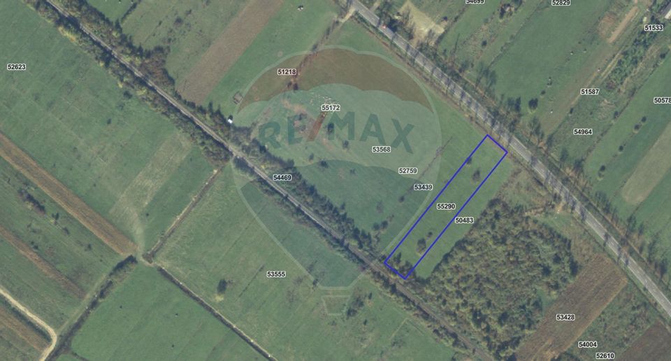 Teren 4,000mp Cicarlau / Strada Principala intravilan