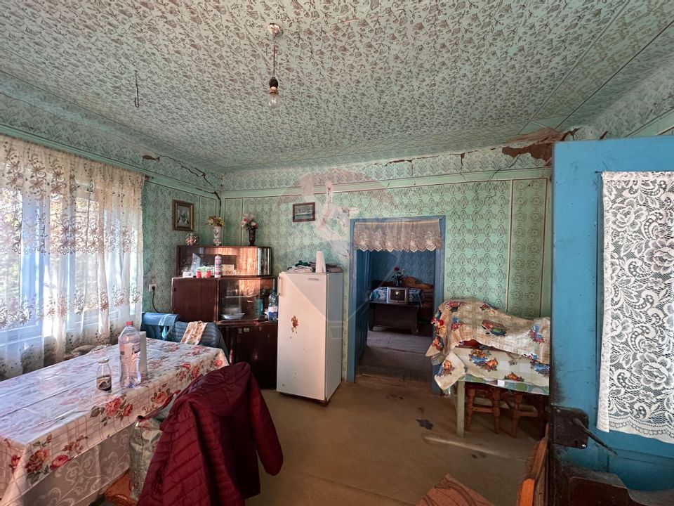 GOSPODARIE - liniste - natura - DE VANZARE