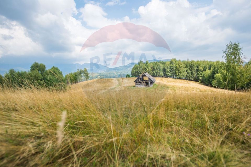 Teren extravilan Moieciu 45316mp