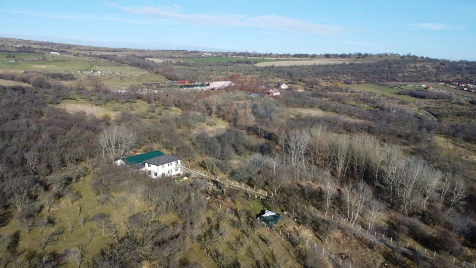 Teren 20.146 mp Dâmbu Rotund (Lomb).Extravilan.Potențial rezidențial