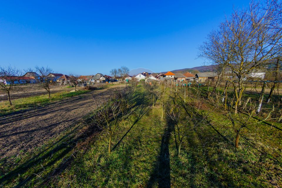 DE VANZARE Proprietate  în Țicău – douǎ case cu livadă și gospodărie