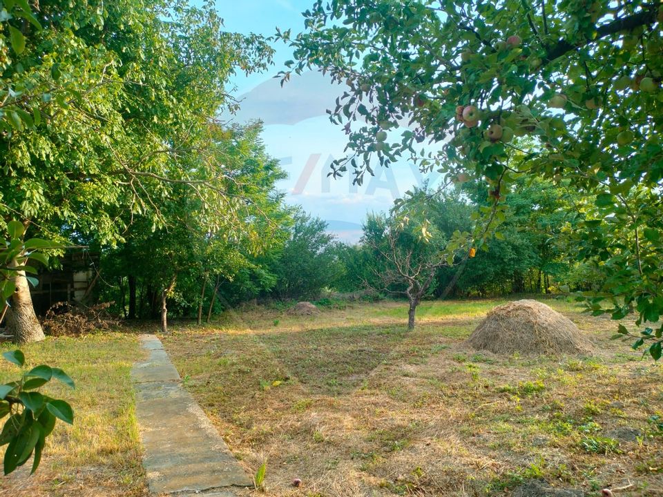 Casa istorica in zona centrala Ludus- Mures