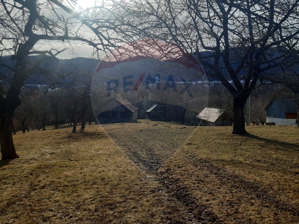 Land 10,279sqm Predelut / Strada Pe Tarina
