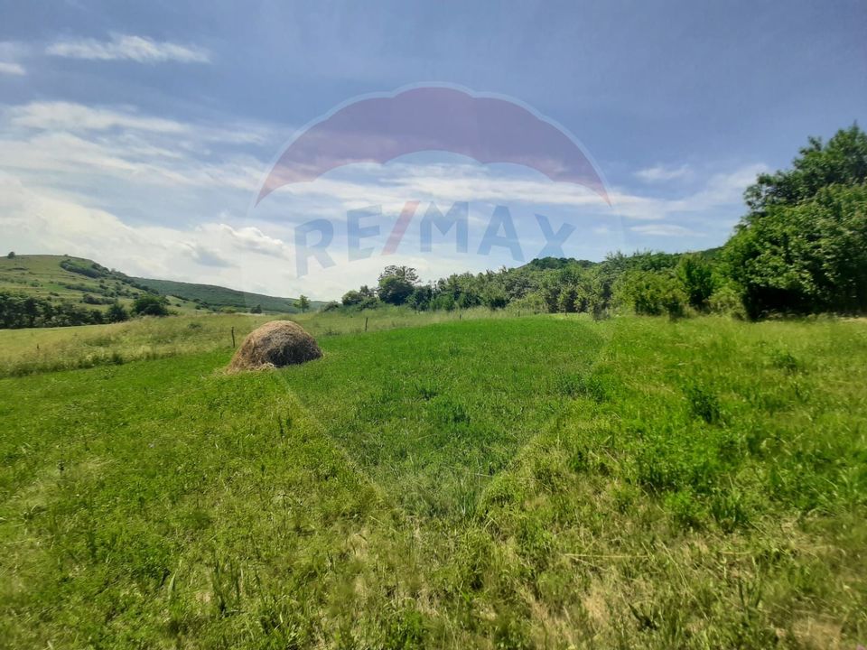 Land 7,506sqm Cluj-Napoca / Strada Valea Fanatelor