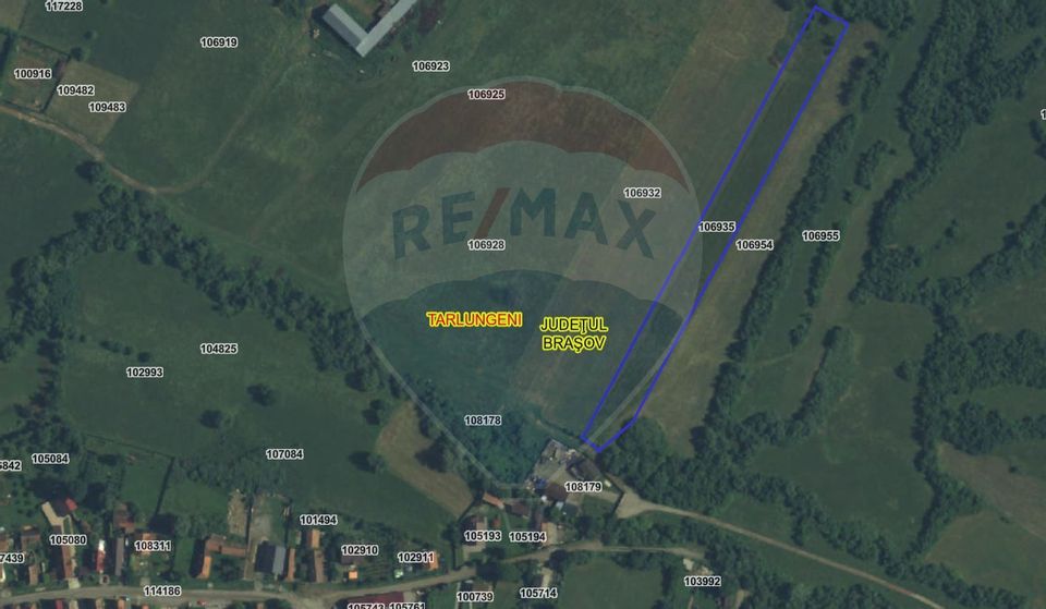 Teren 5.800 mp Purcareni curent, gaz, apă / Strada 30 decembrie