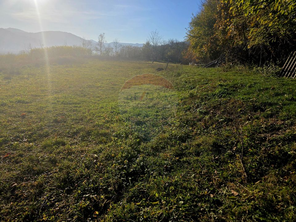 Land 6,874sqm Alexandru cel Bun / Strada plopusor